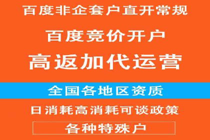 某SEM外包公司广告投放策略及效果评估
